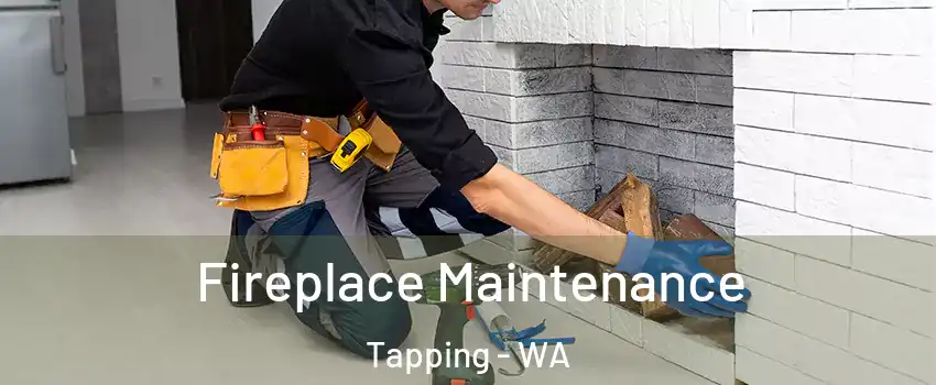 Fireplace Maintenance Tapping - WA