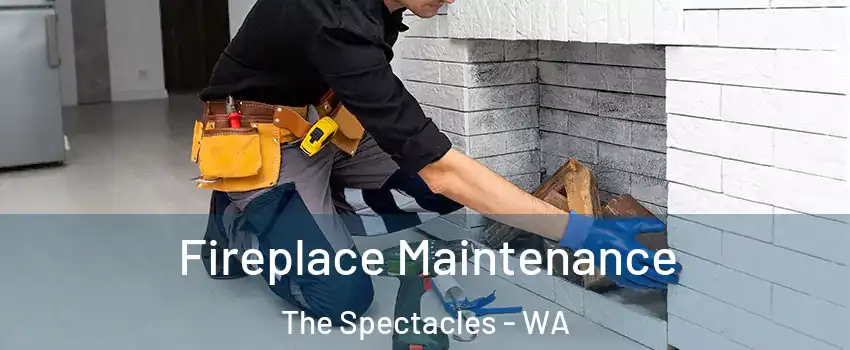 Fireplace Maintenance The Spectacles - WA
