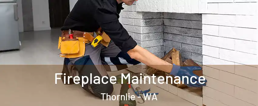 Fireplace Maintenance Thornlie - WA