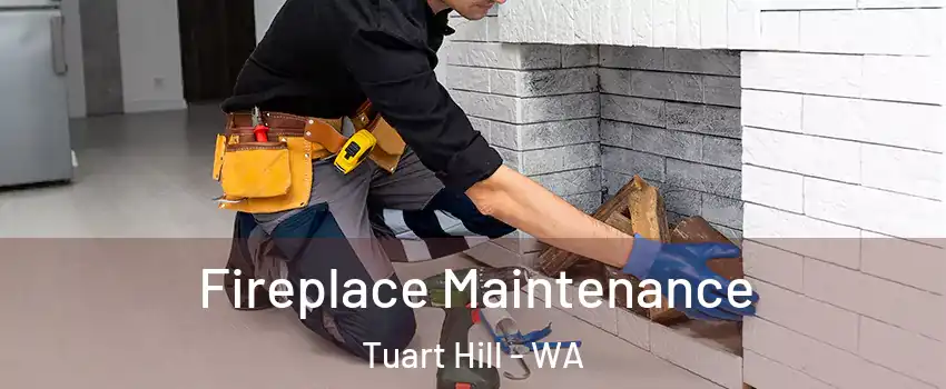 Fireplace Maintenance Tuart Hill - WA