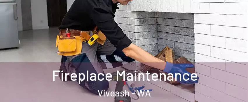 Fireplace Maintenance Viveash - WA