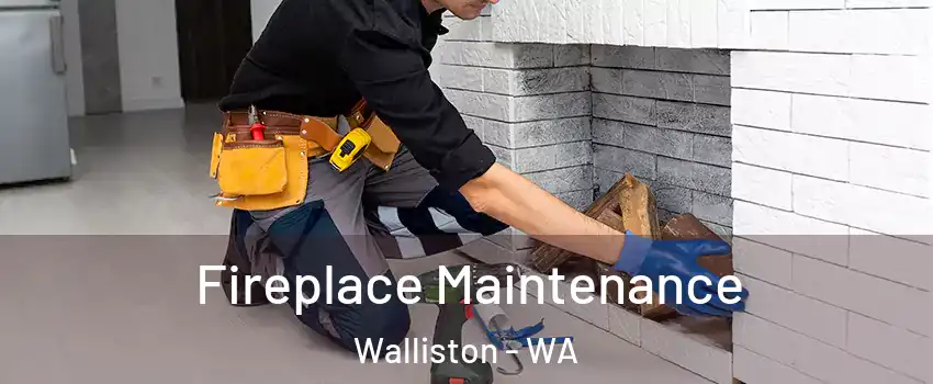 Fireplace Maintenance Walliston - WA