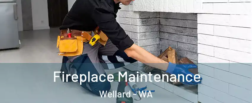 Fireplace Maintenance Wellard - WA
