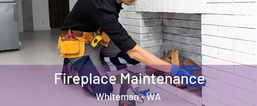 Fireplace Maintenance Whiteman - WA