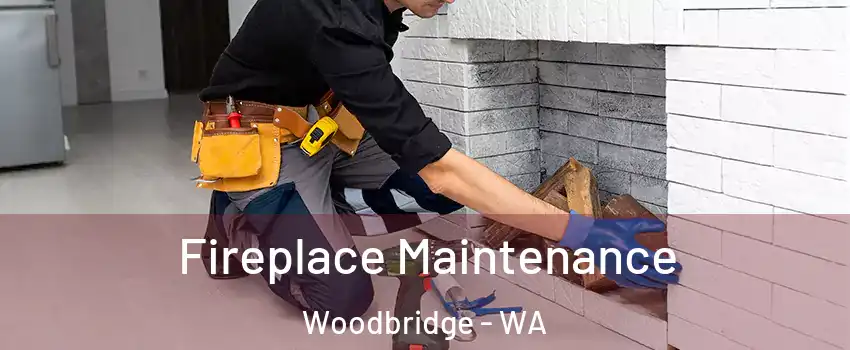 Fireplace Maintenance Woodbridge - WA