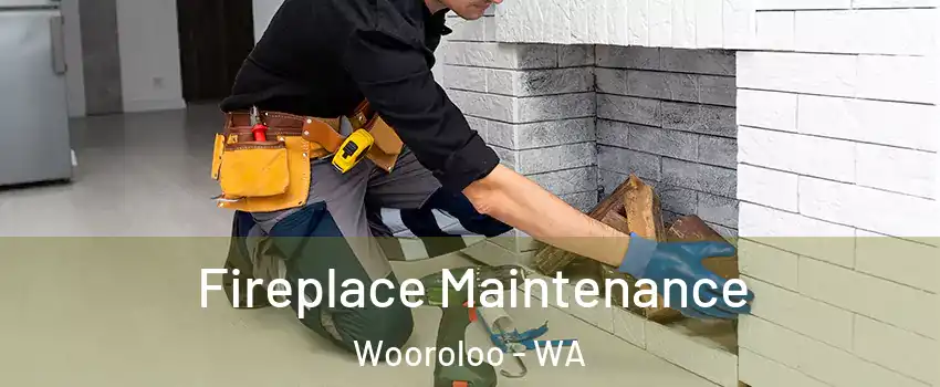 Fireplace Maintenance Wooroloo - WA