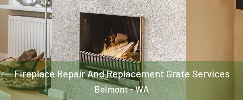 Fireplace Repair And Replacement Grate Services Belmont - WA