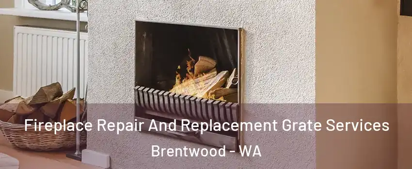 Fireplace Repair And Replacement Grate Services Brentwood - WA