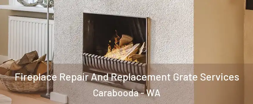 Fireplace Repair And Replacement Grate Services Carabooda - WA
