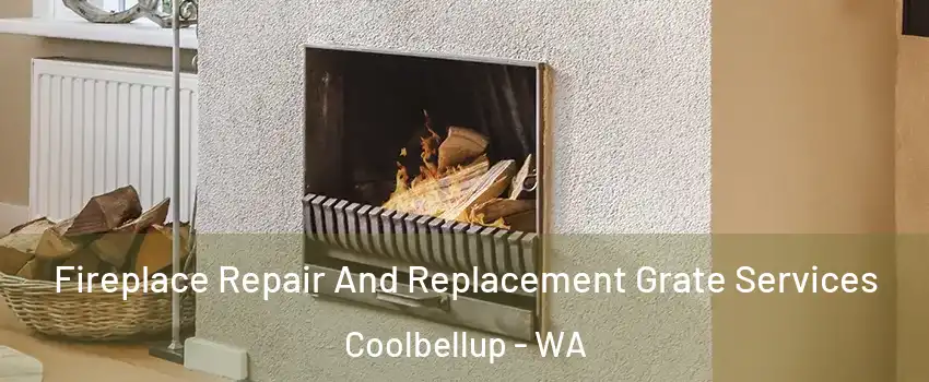 Fireplace Repair And Replacement Grate Services Coolbellup - WA