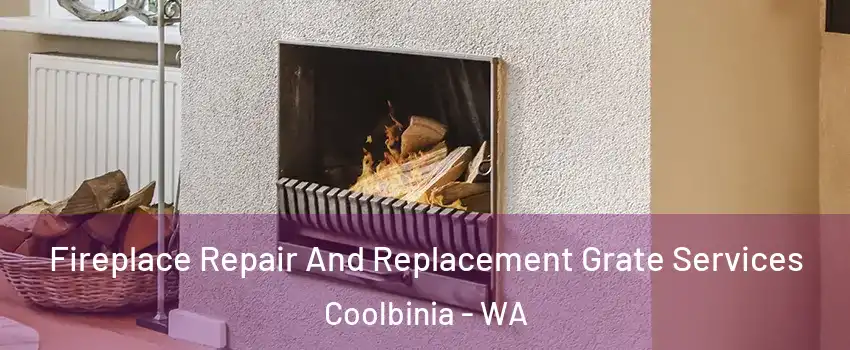 Fireplace Repair And Replacement Grate Services Coolbinia - WA