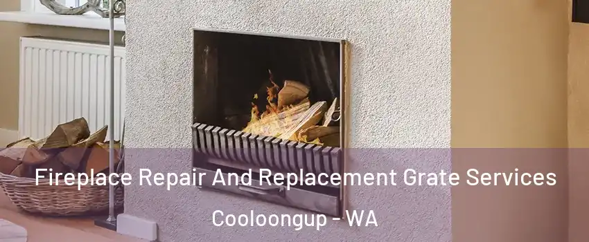 Fireplace Repair And Replacement Grate Services Cooloongup - WA