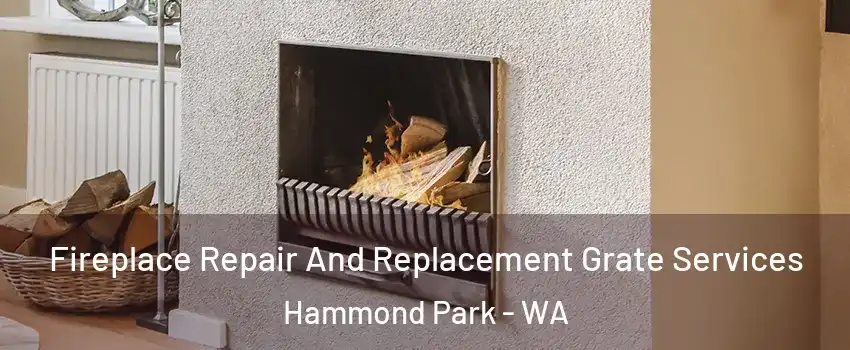 Fireplace Repair And Replacement Grate Services Hammond Park - WA