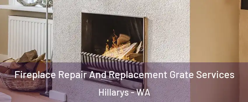 Fireplace Repair And Replacement Grate Services Hillarys - WA