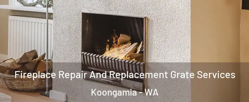 Fireplace Repair And Replacement Grate Services Koongamia - WA