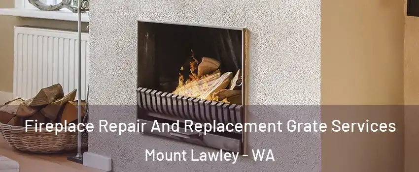 Fireplace Repair And Replacement Grate Services Mount Lawley - WA
