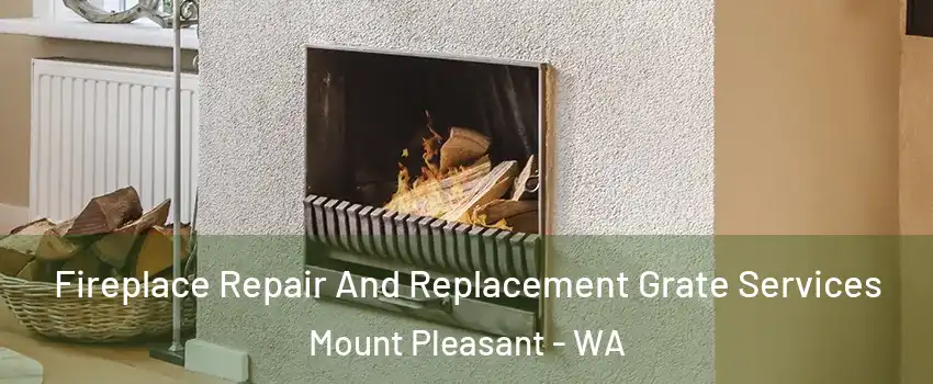 Fireplace Repair And Replacement Grate Services Mount Pleasant - WA