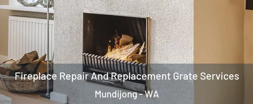 Fireplace Repair And Replacement Grate Services Mundijong - WA