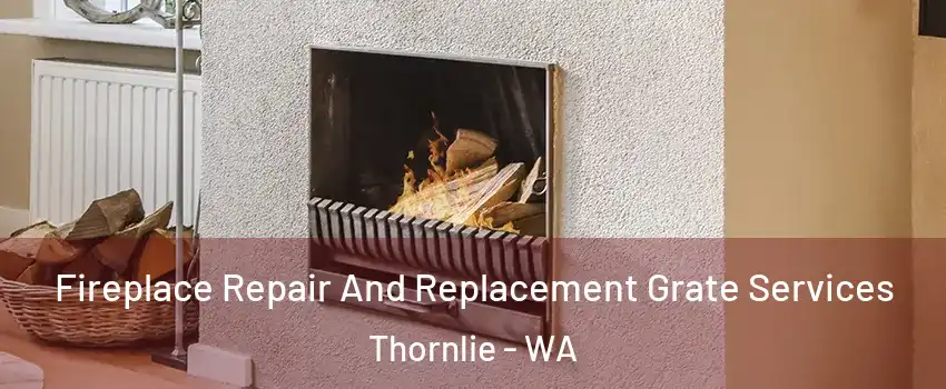  Fireplace Repair And Replacement Grate Services Thornlie - WA