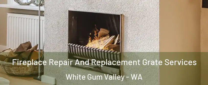 Fireplace Repair And Replacement Grate Services White Gum Valley - WA