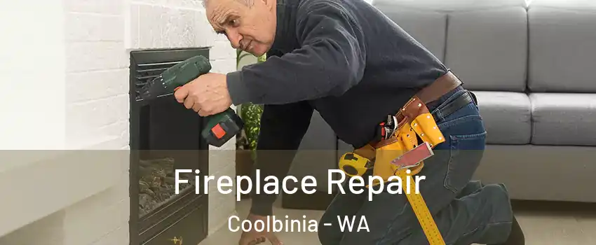Fireplace Repair Coolbinia - WA