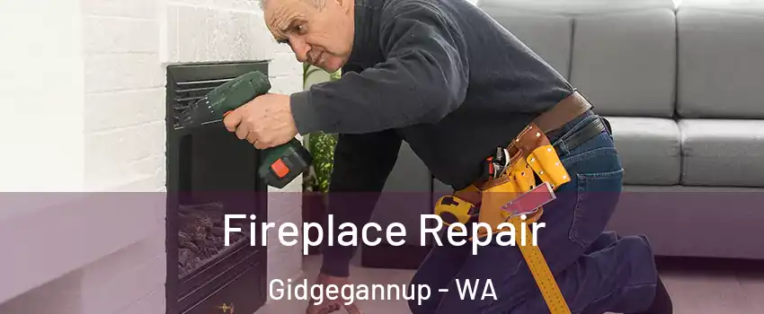 Fireplace Repair Gidgegannup - WA