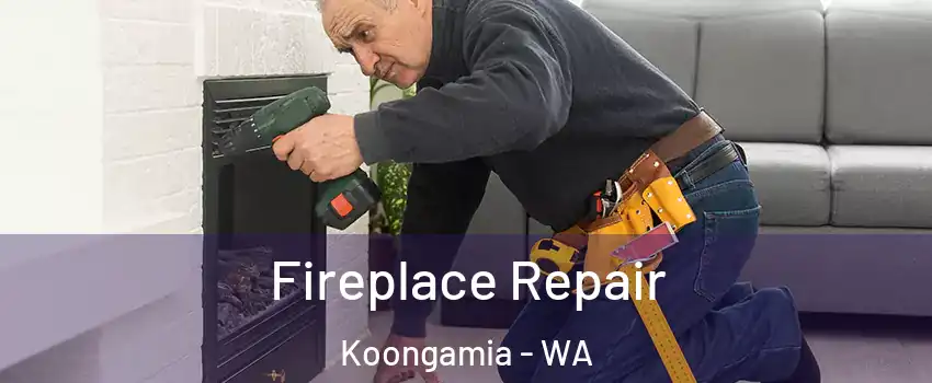 Fireplace Repair Koongamia - WA