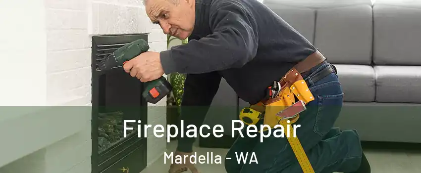 Fireplace Repair Mardella - WA