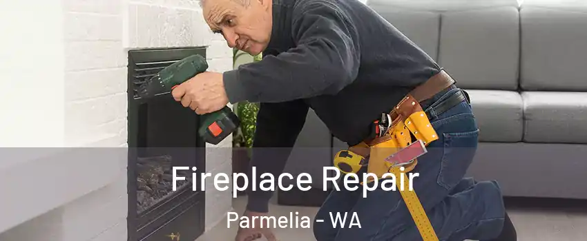 Fireplace Repair Parmelia - WA
