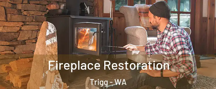 Fireplace Restoration Trigg - WA