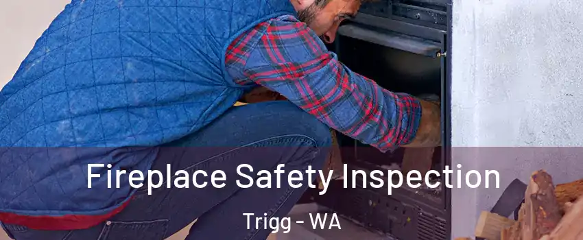 Fireplace Safety Inspection Trigg - WA