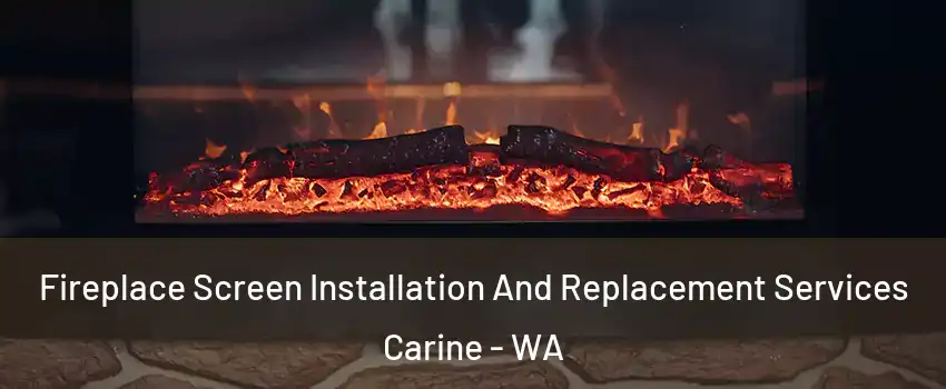 Fireplace Screen Installation And Replacement Services Carine - WA