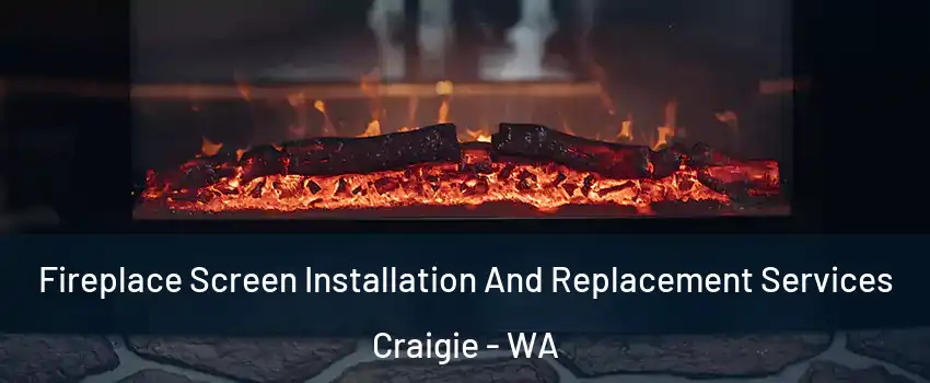 Fireplace Screen Installation And Replacement Services Craigie - WA