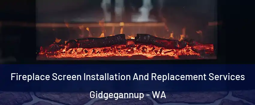 Fireplace Screen Installation And Replacement Services Gidgegannup - WA