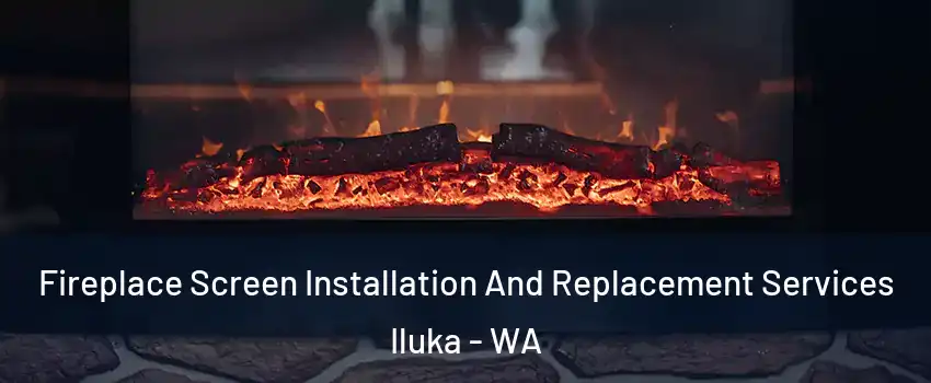 Fireplace Screen Installation And Replacement Services Iluka - WA