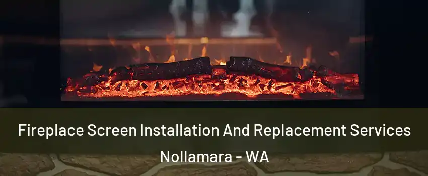 Fireplace Screen Installation And Replacement Services Nollamara - WA