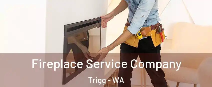 Fireplace Service Company Trigg - WA