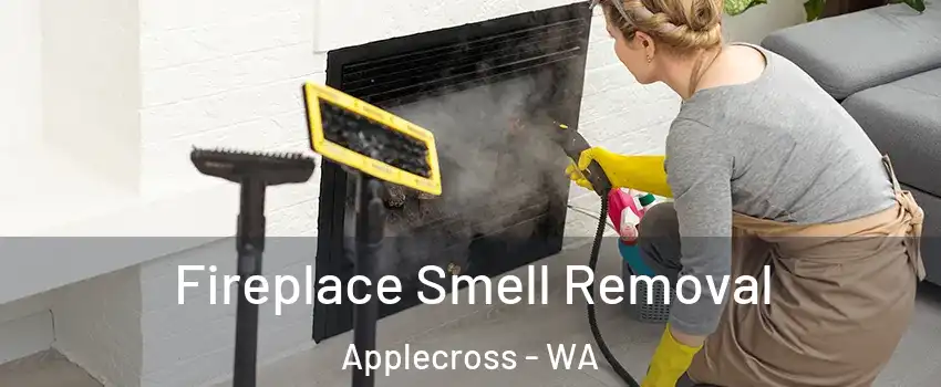 Fireplace Smell Removal Applecross - WA