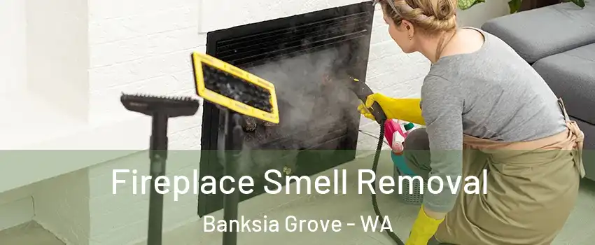 Fireplace Smell Removal Banksia Grove - WA