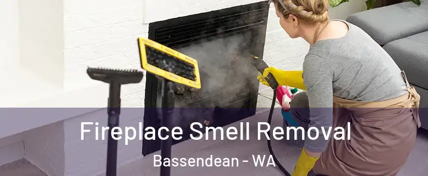Fireplace Smell Removal Bassendean - WA