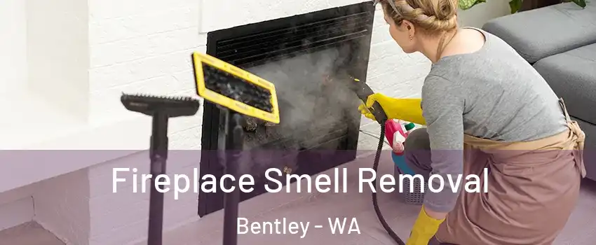 Fireplace Smell Removal Bentley - WA