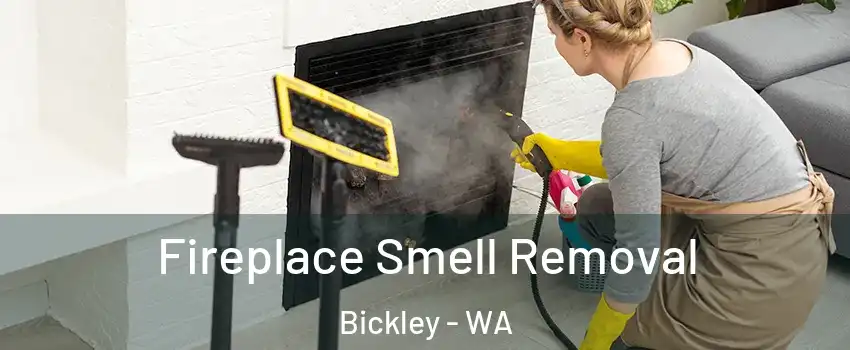 Fireplace Smell Removal Bickley - WA