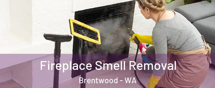 Fireplace Smell Removal Brentwood - WA