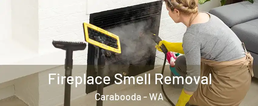 Fireplace Smell Removal Carabooda - WA