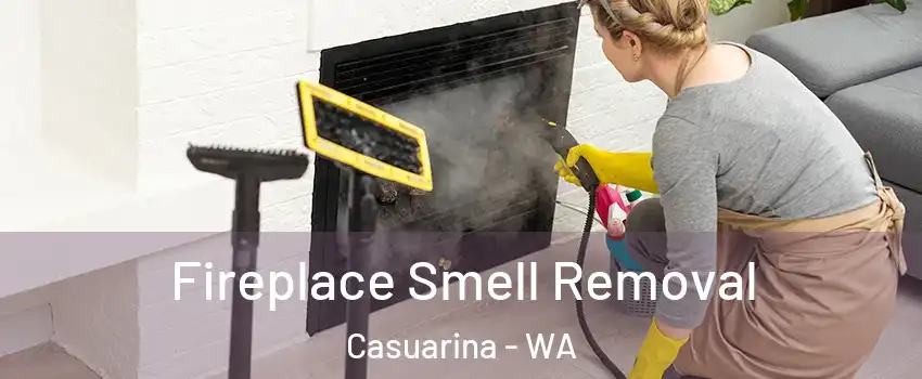 Fireplace Smell Removal Casuarina - WA
