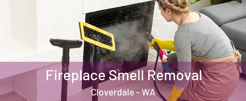Fireplace Smell Removal Cloverdale - WA