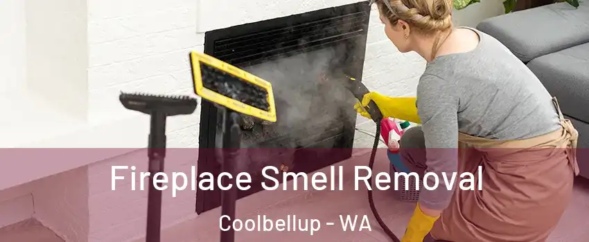 Fireplace Smell Removal Coolbellup - WA