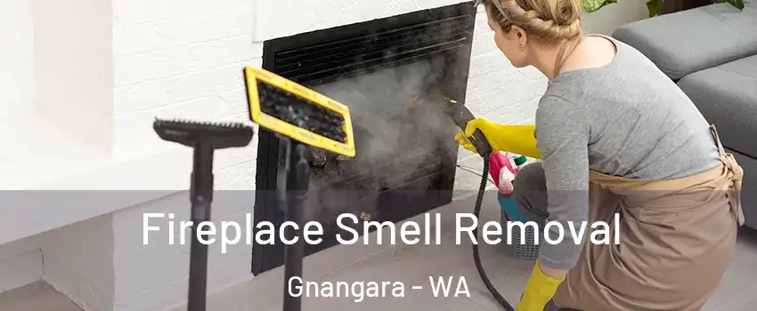 Fireplace Smell Removal Gnangara - WA