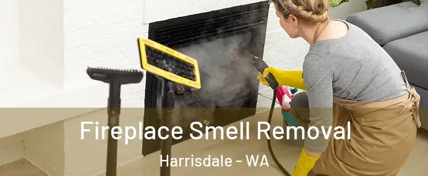 Fireplace Smell Removal Harrisdale - WA