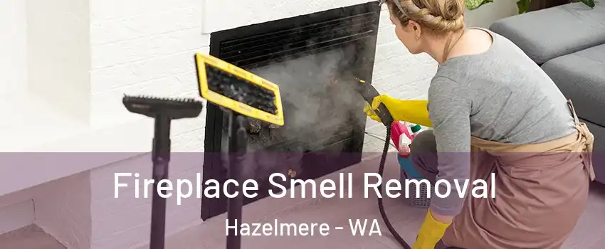 Fireplace Smell Removal Hazelmere - WA